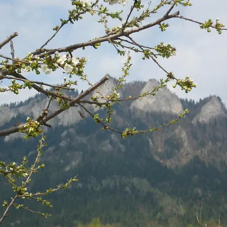U Grażyny Apartament Kluszkowce
