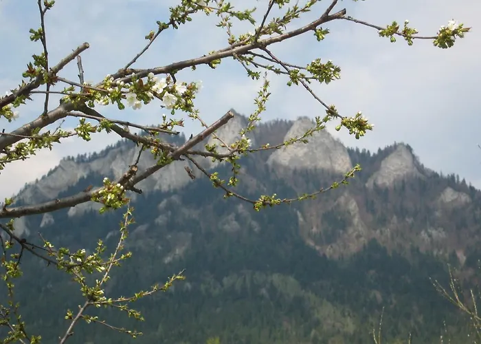 U Grazyny Daire Kluszkowce